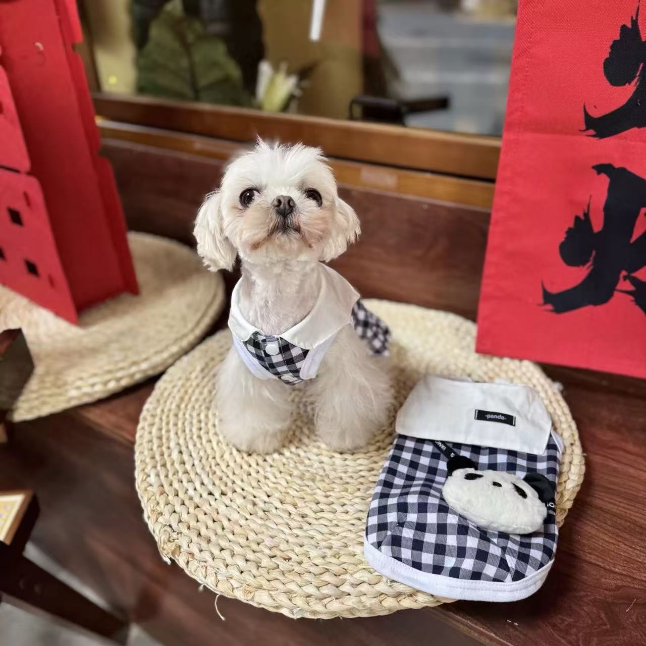 T755 Pet dog clothes Maltese Yorkshire Bichon leash set