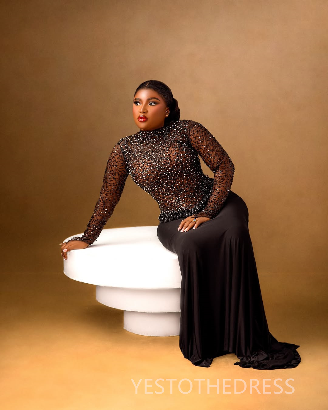 2025 Plus Size Black Aso Ebi Prom Dress Mermaid Prom Dresess Evening Formal Gowns High Neck Long Sleeves Lace Birthday Second Reception Gown For Black