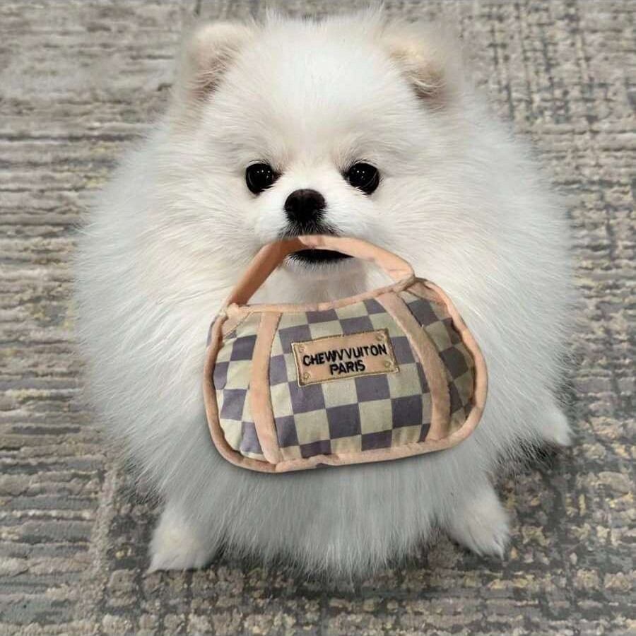 Checker Chewy Vuiton Bone, Plush Designer Dog Toys with Interactive Squeaker, Stimulating Pet Enrichment, Machine-Washable & Safe Materials for All Br