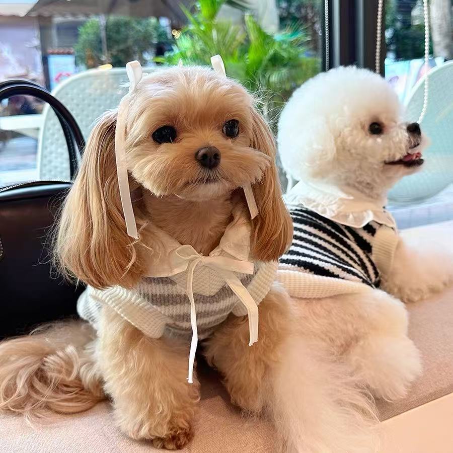 T763 Dress cat clothes small dog Bichon clothes