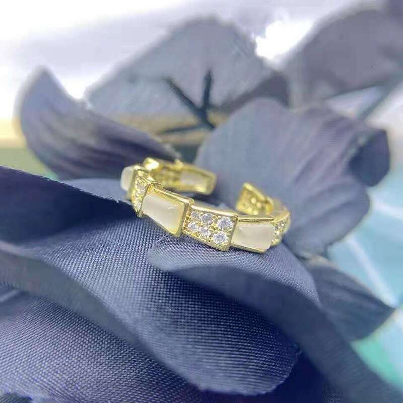 Snake Bone Ri Women, Ins Style, Korean and Japanese Micro Inlay, Non-Fadi, Niche Design, Gift for Girlfriend or Best Friend, Internet Celebrity Live