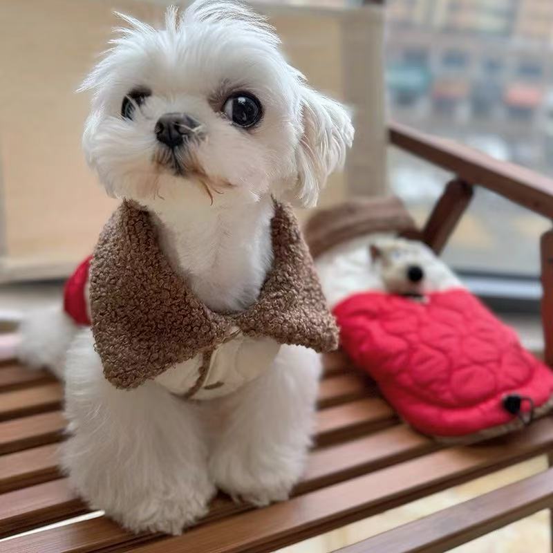 T759 Clothes Dress Maltese Yorkshire Terrier Puppy Clothes