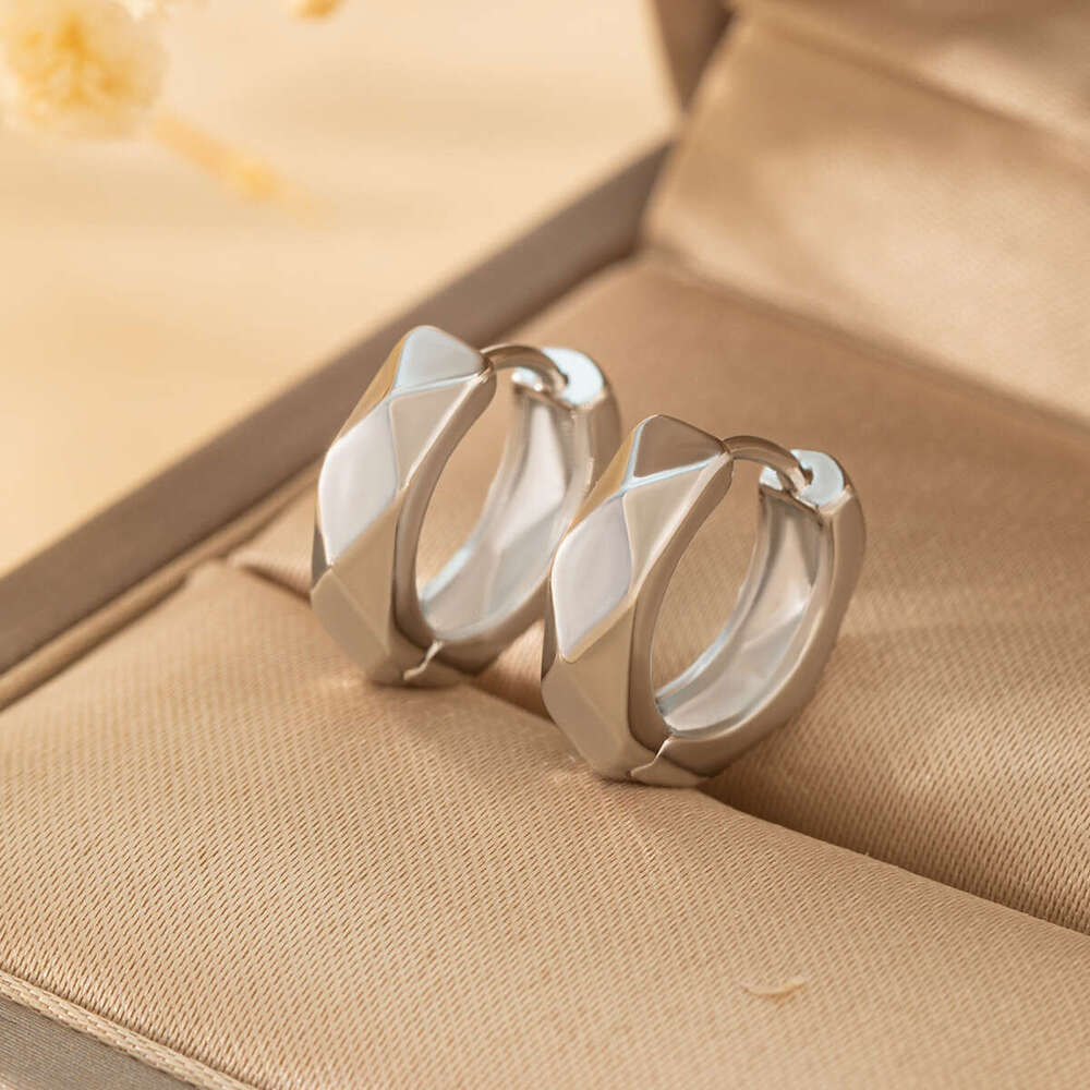 Geometric Smooth Fashion Versatile Circle Luxurious High-End Earrings Jewelry New jewelry