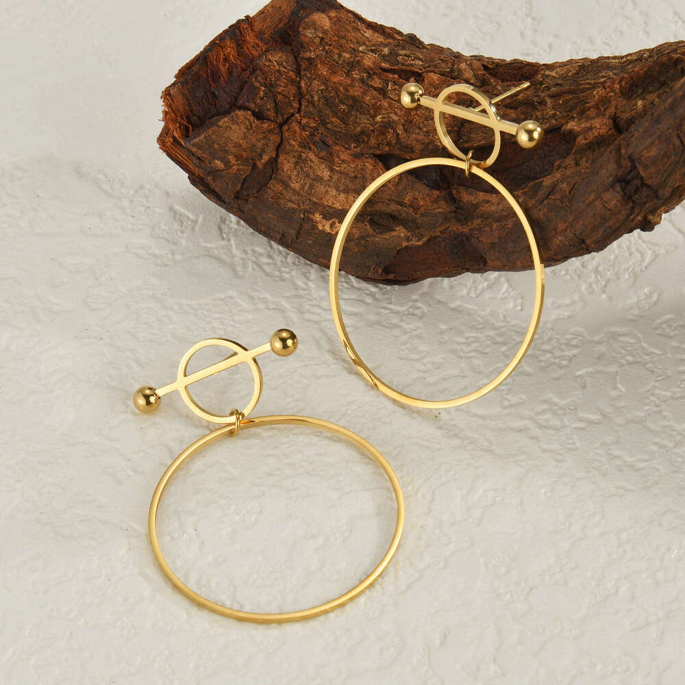 New INS Style Internet Celebrity Geometric Hoop for Women, Niche Personality Stainless Steel Gold-Plated Earrings