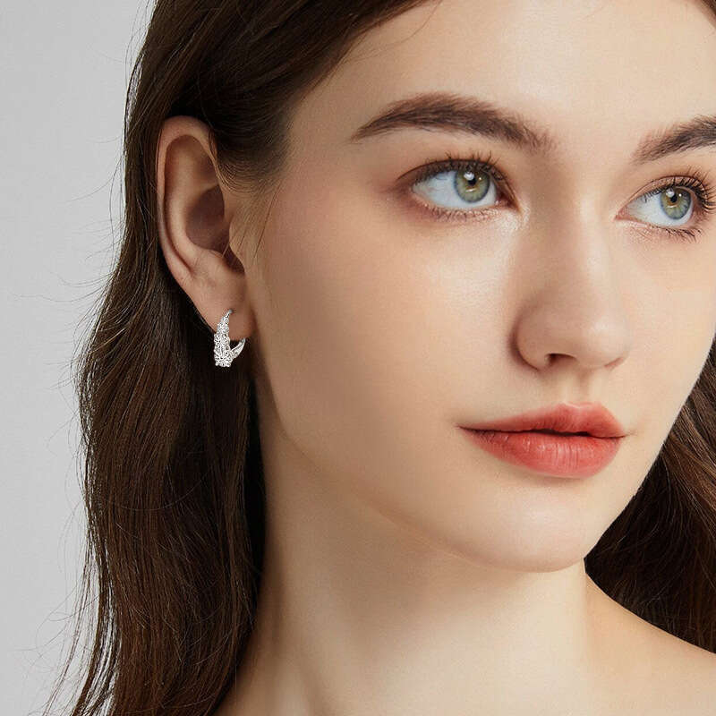 TikTok Live New Meteor D Color Moissanite Versatile Niche Light Sier Earrings