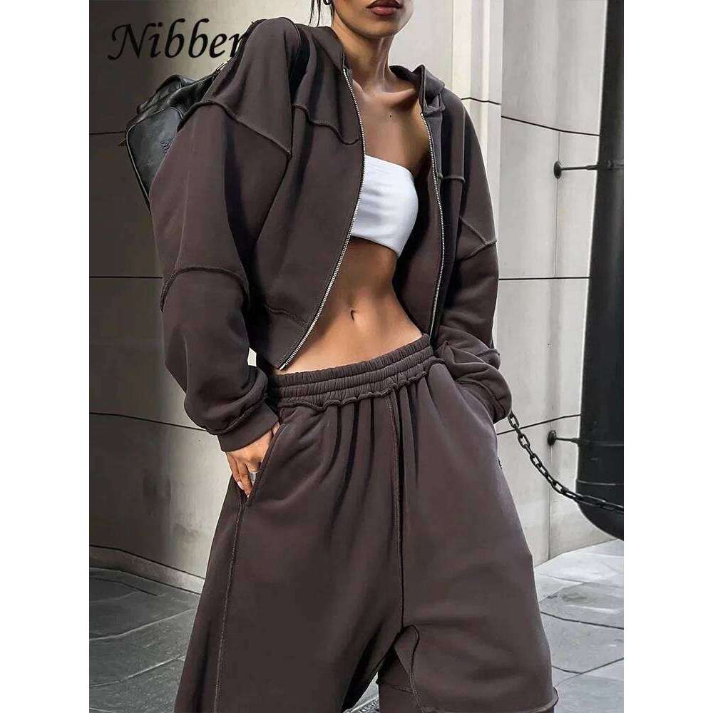 Nibber Casual Tracksuit Women 2 Piece Set Panelled Stripes Sporty Simple Hipster Hooded Zip Jacket+Wide Pants Matching Suits