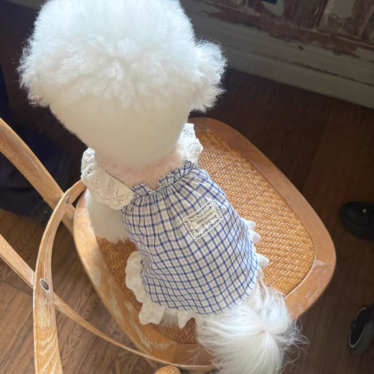 T761 Small dog cute cotton spring and summer clothes