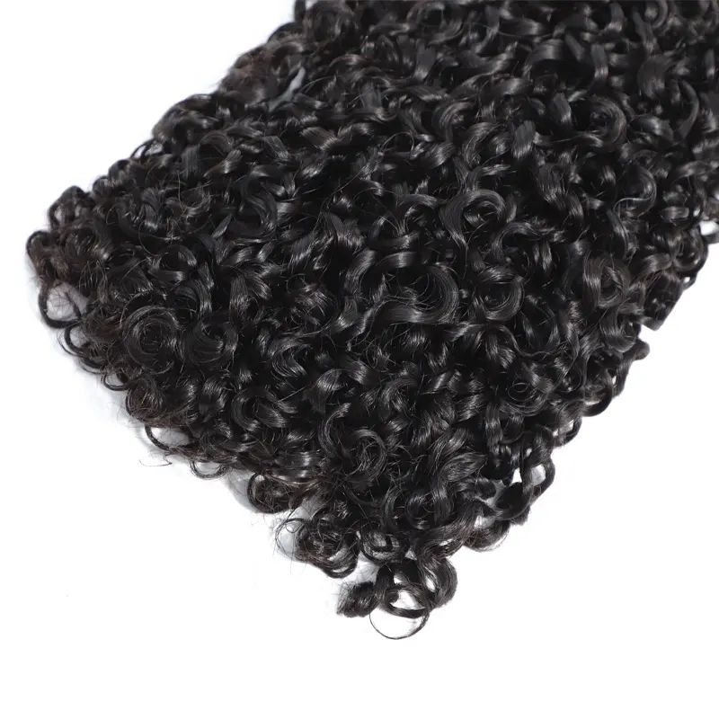 Raw Pixie Curly Virgin Human Hair Super Double Drawn One Donor Human Bundles