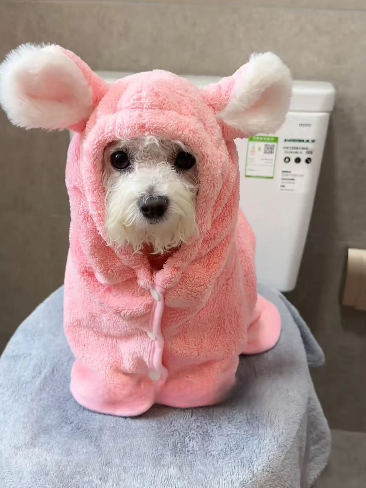 T768 Pet Clothes Cats Dogs Pure Cotton Summer Retro Floral Shirt