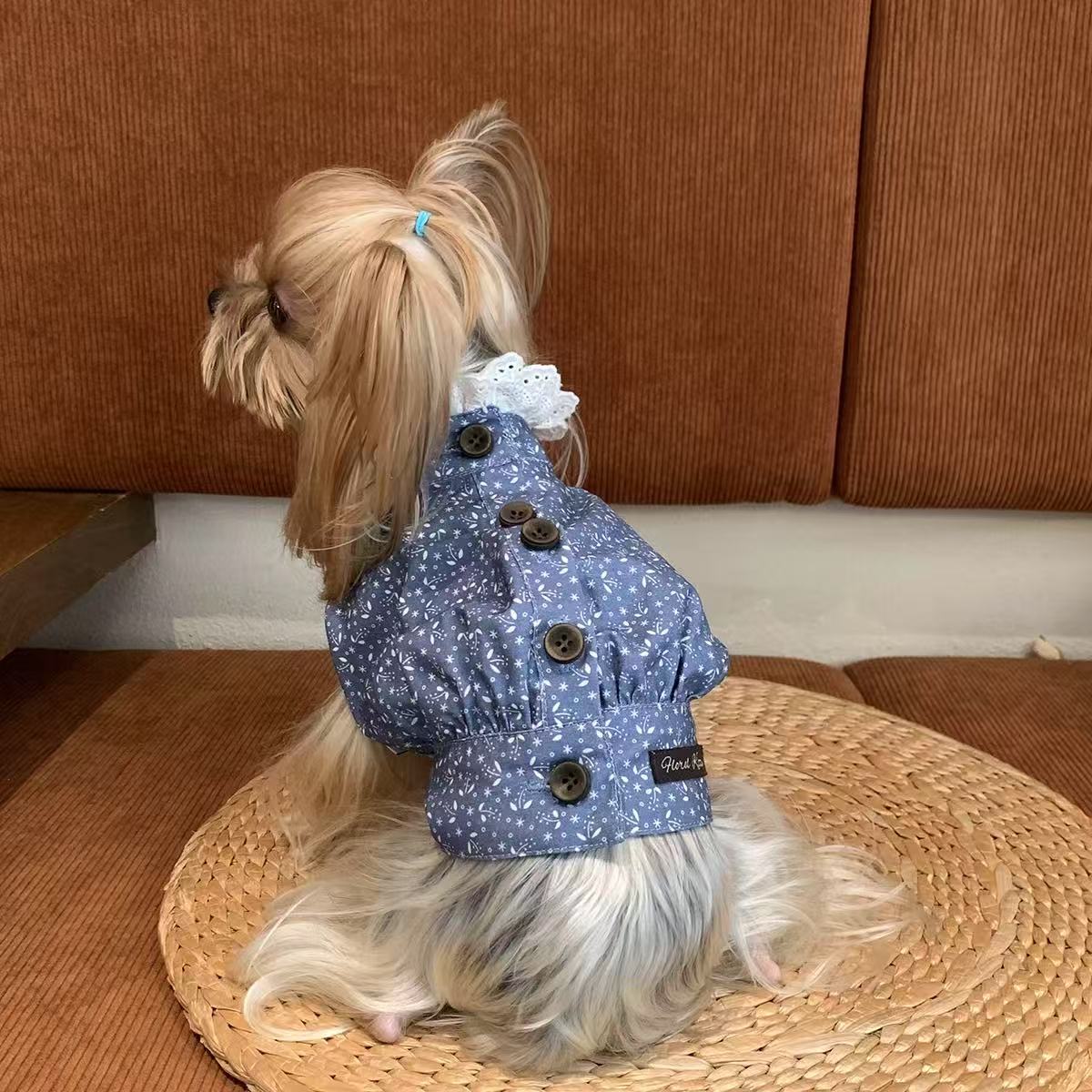 T769 Pet clothes for cats and dogs pumpkin pants jumpsuit air-conditioned clothes light and transparent spring and summer new styles