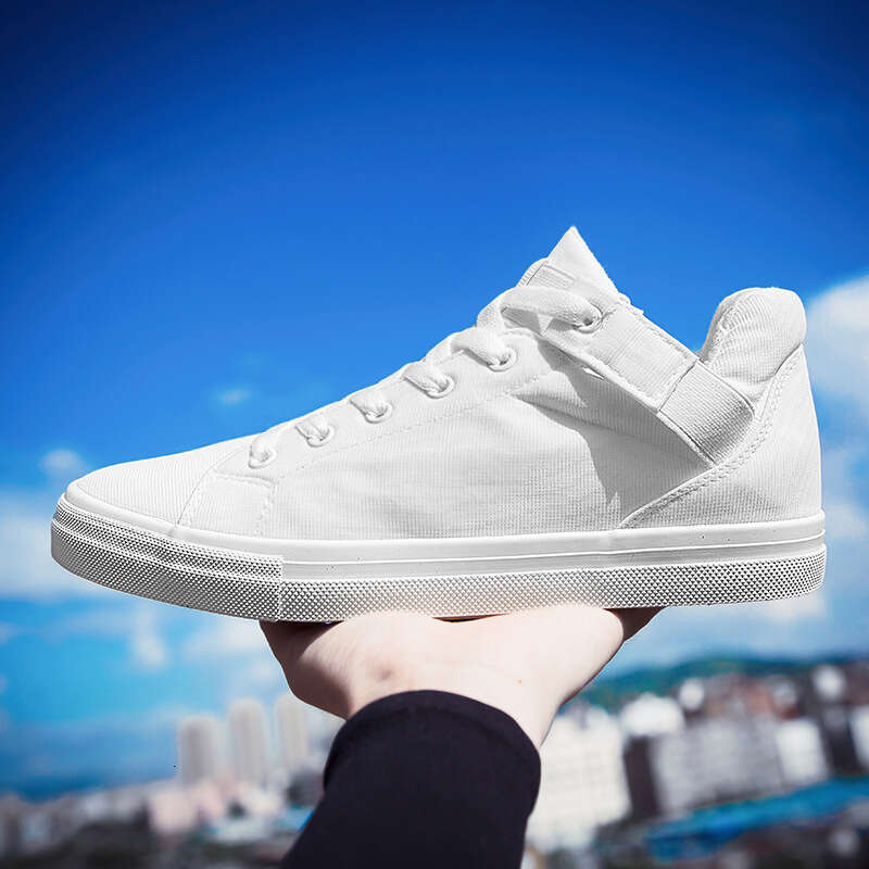 Sneakers for Students, All Black Board Work Summer White Skate Ins Style Men's Canvas Shoes, Trendy Shoes