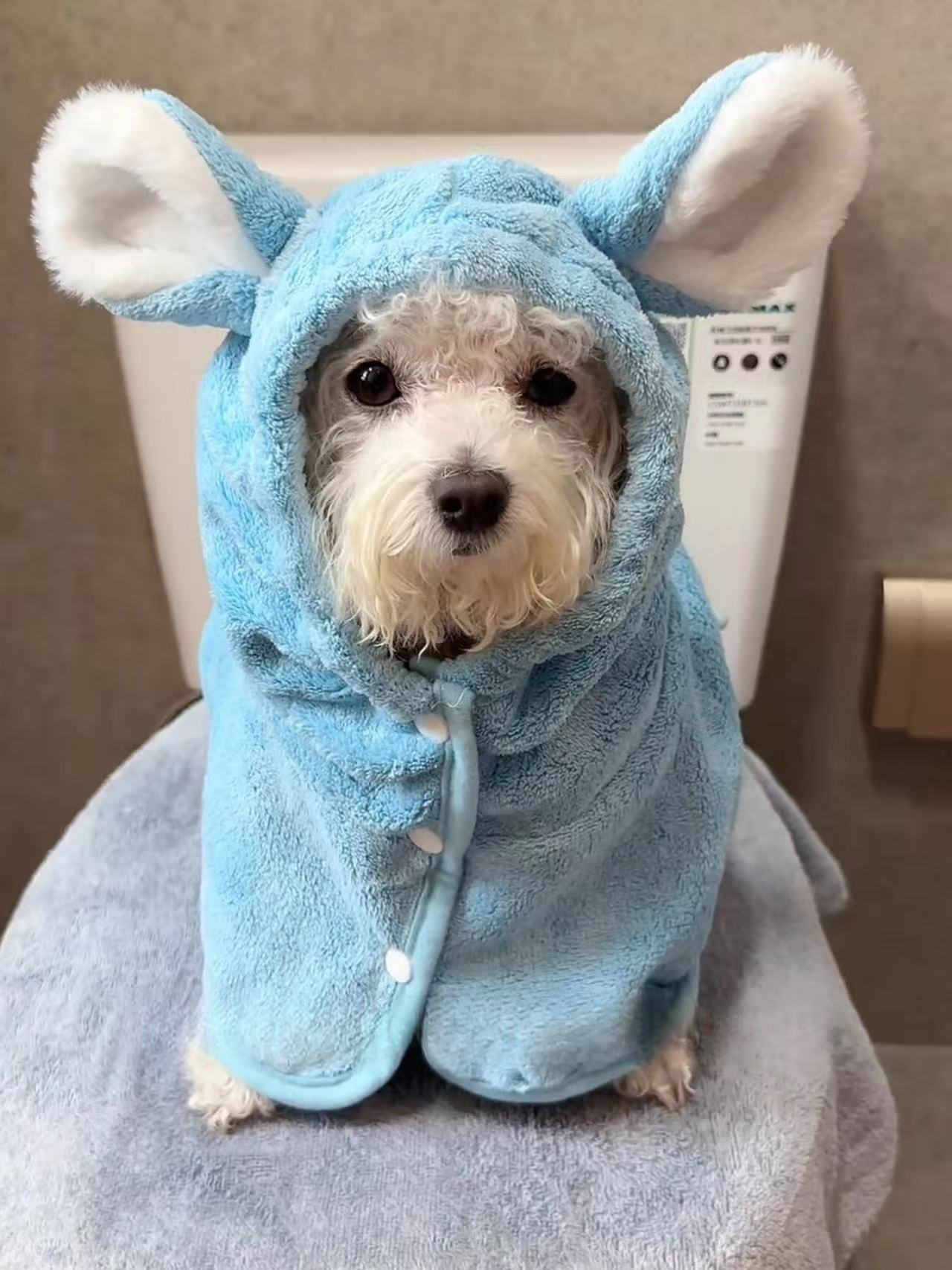 T768 Pet Clothes Cats Dogs Pure Cotton Summer Retro Floral Shirt