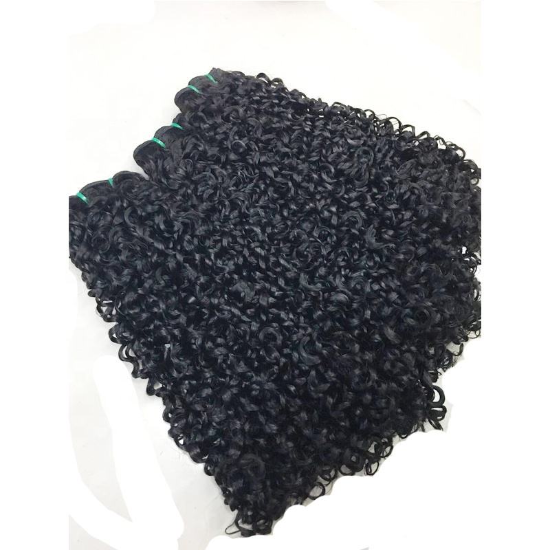 Raw Pixie Curly Virgin Human Hair Super Double Drawn One Donor Human Bundles