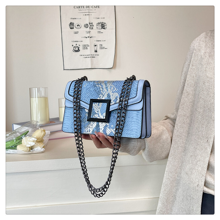 Luxury Brand Designer Bag Fashion Light Luxury Chain Small Bag For Women 2025 New Model High-Quality Texture Shoulder Bag Snake Skin Pattern Crossbody