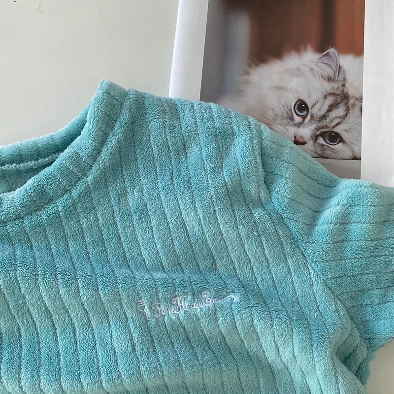 Autumn Women Solid Warm 2 Piece Sets Thicken Velvet Ribbed Fleece Set Pullover And Pant Casual Pajama 250717