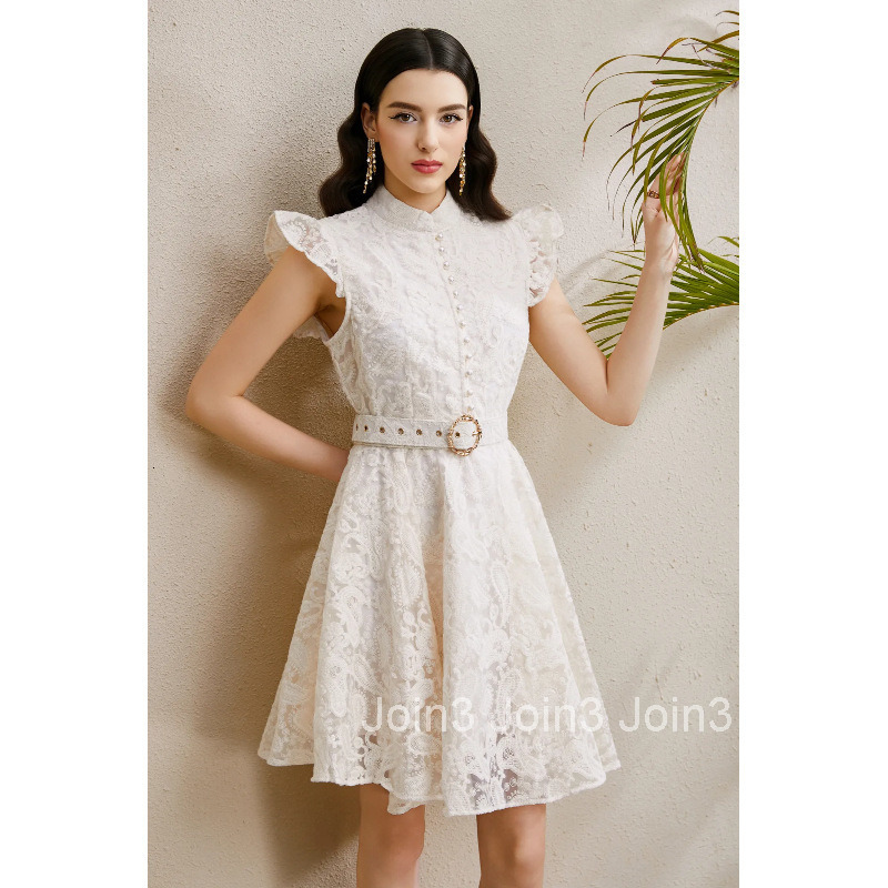 8869 Early Autumn Elegance Style Stand Collar Sleeveless Gathered Wide Hem Embroidered Dress