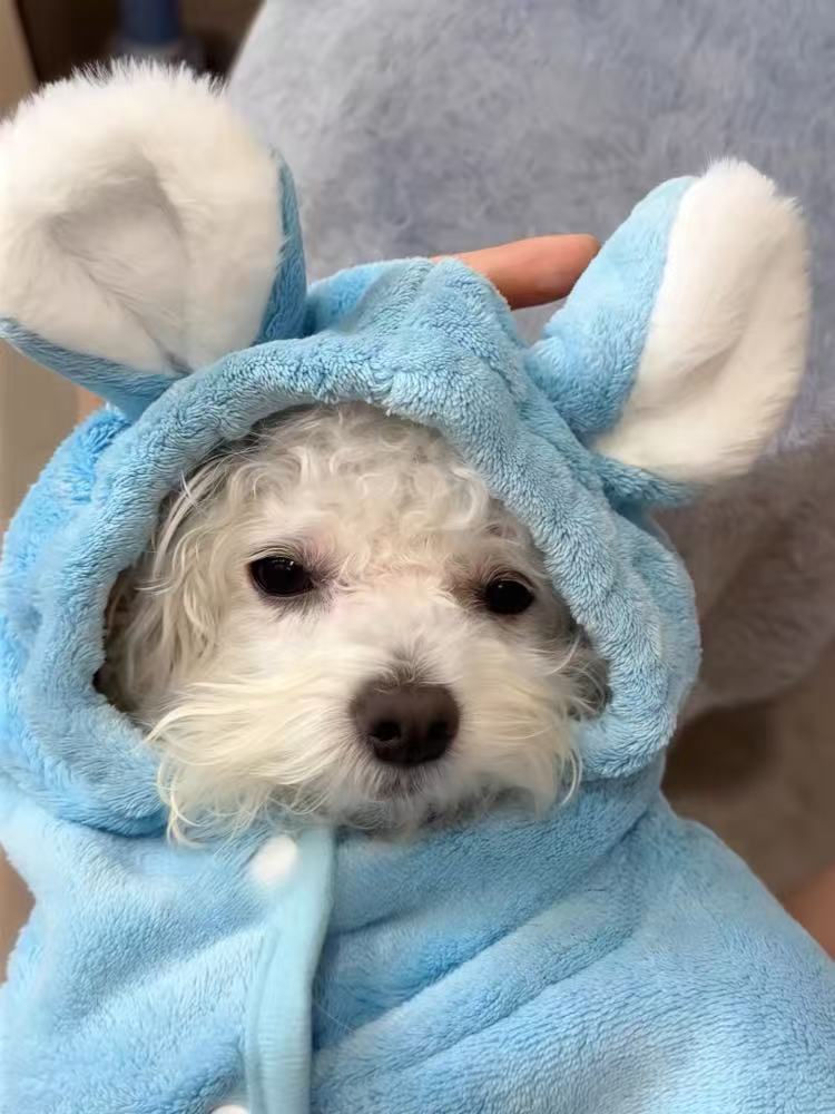 T768 Pet Clothes Cats Dogs Pure Cotton Summer Retro Floral Shirt