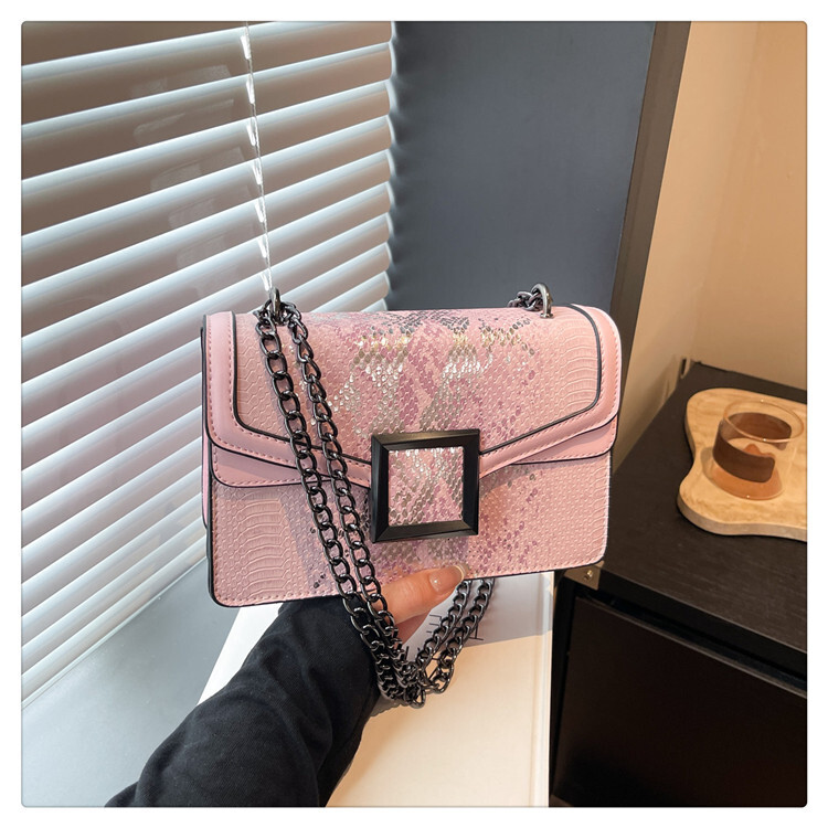 Luxury Brand Designer Bag Fashion Light Luxury Chain Small Bag For Women 2025 New Model High-Quality Texture Shoulder Bag Snake Skin Pattern Crossbody