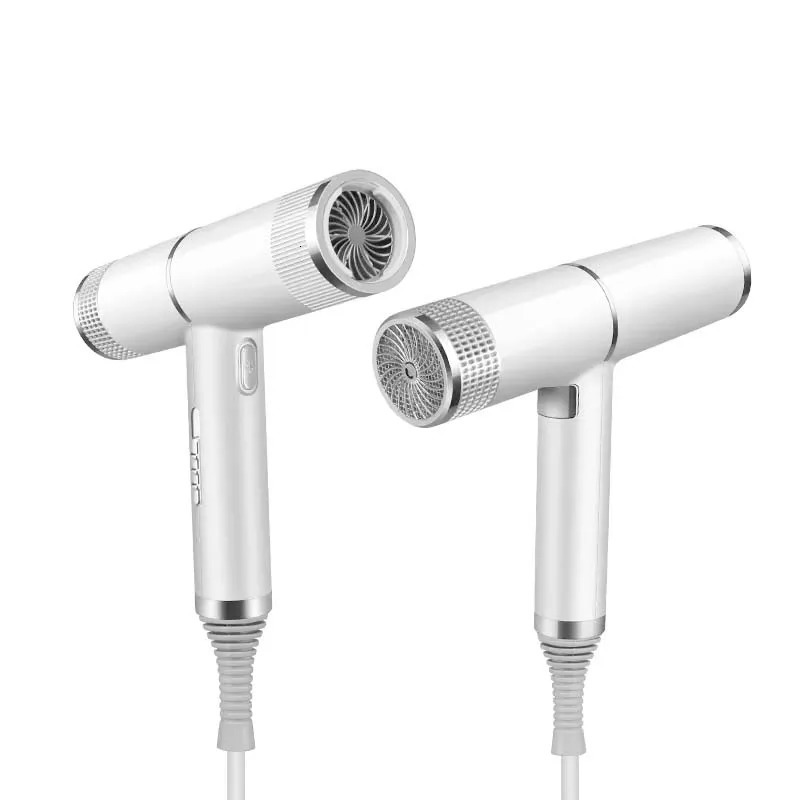 Professional Negative Ion Strong Wind Blower Portable And Adjustable Negative Ion Blower With Wind Speed 250717