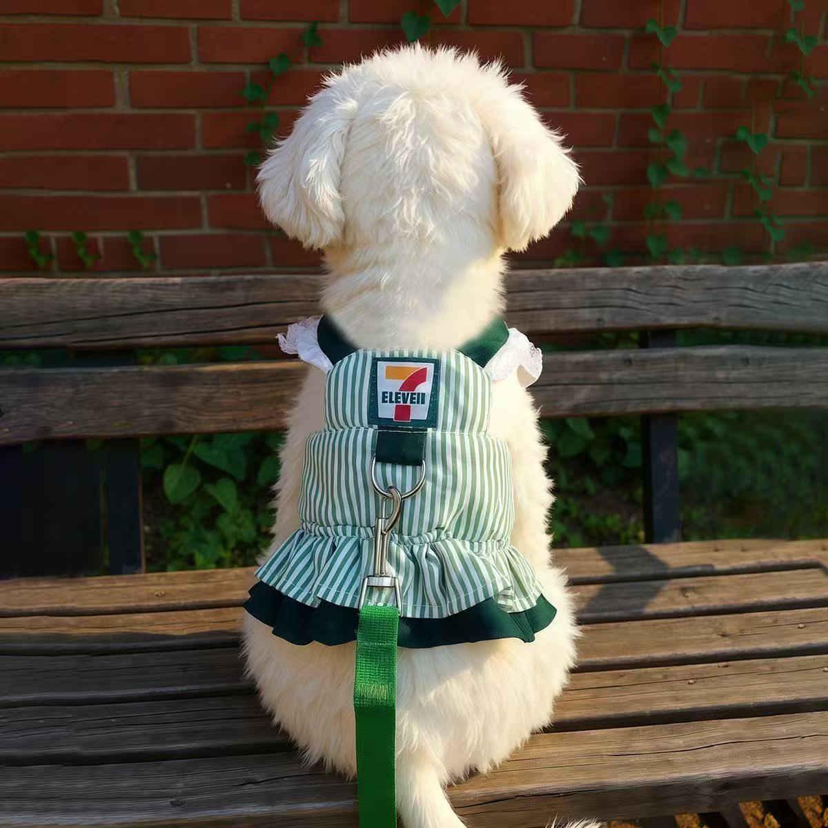 T780 Puppy color matching cute spring and autumn Korean version of the super small pet cat net celebrity