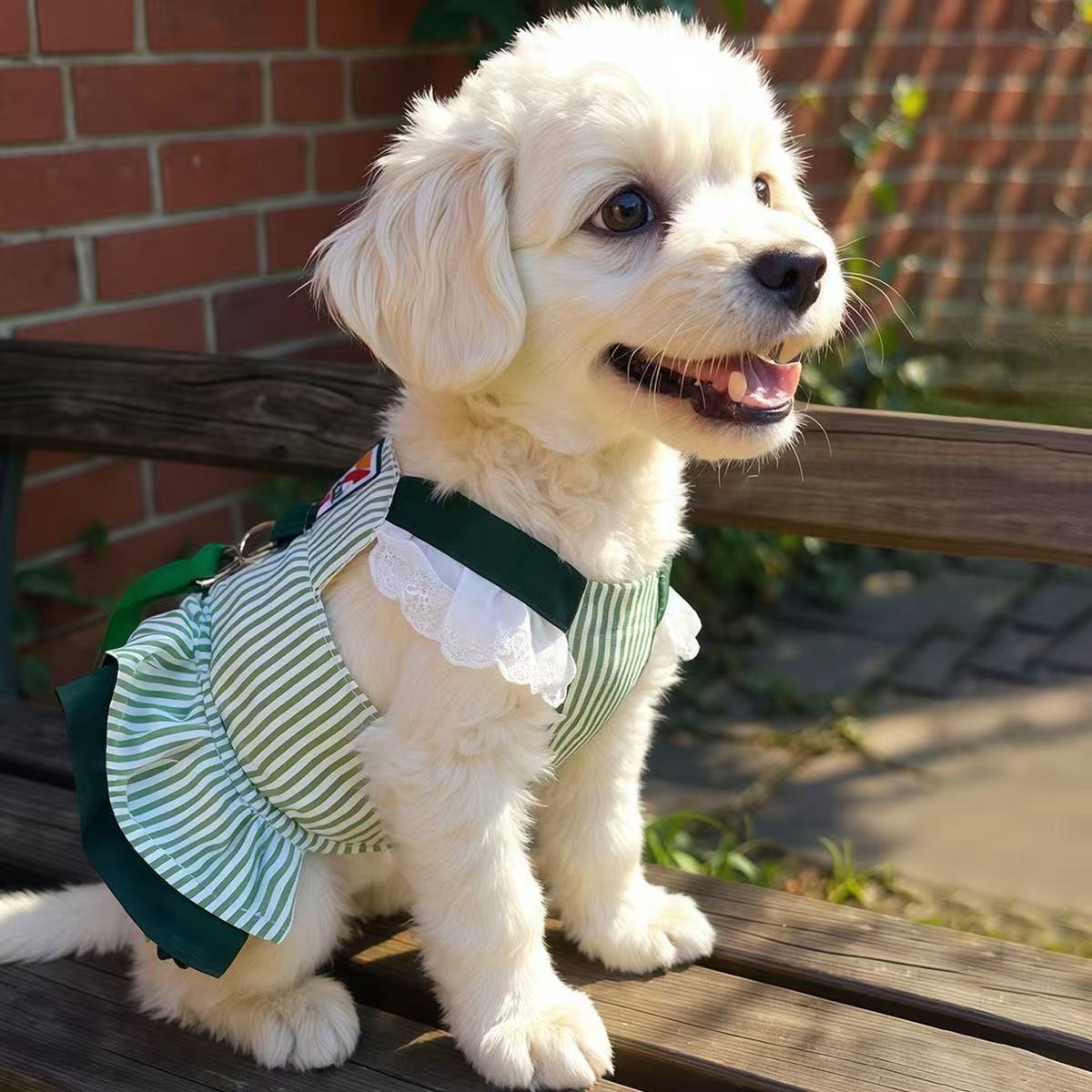 T780 Puppy color matching cute spring and autumn Korean version of the super small pet cat net celebrity