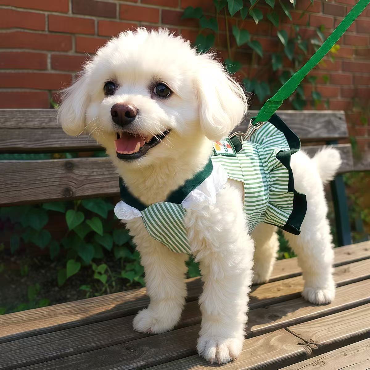 T780 Puppy color matching cute spring and autumn Korean version of the super small pet cat net celebrity