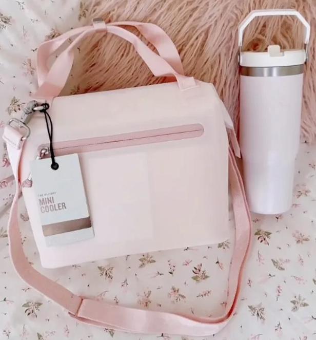 US Stock All Day Julienne Mini Soft Cooler Bag and Lunch Box 10 Can Cooler with Handles and Strap 12 Hour Cooling Insulated Travel Bag with Zipper BPA-Free 0721