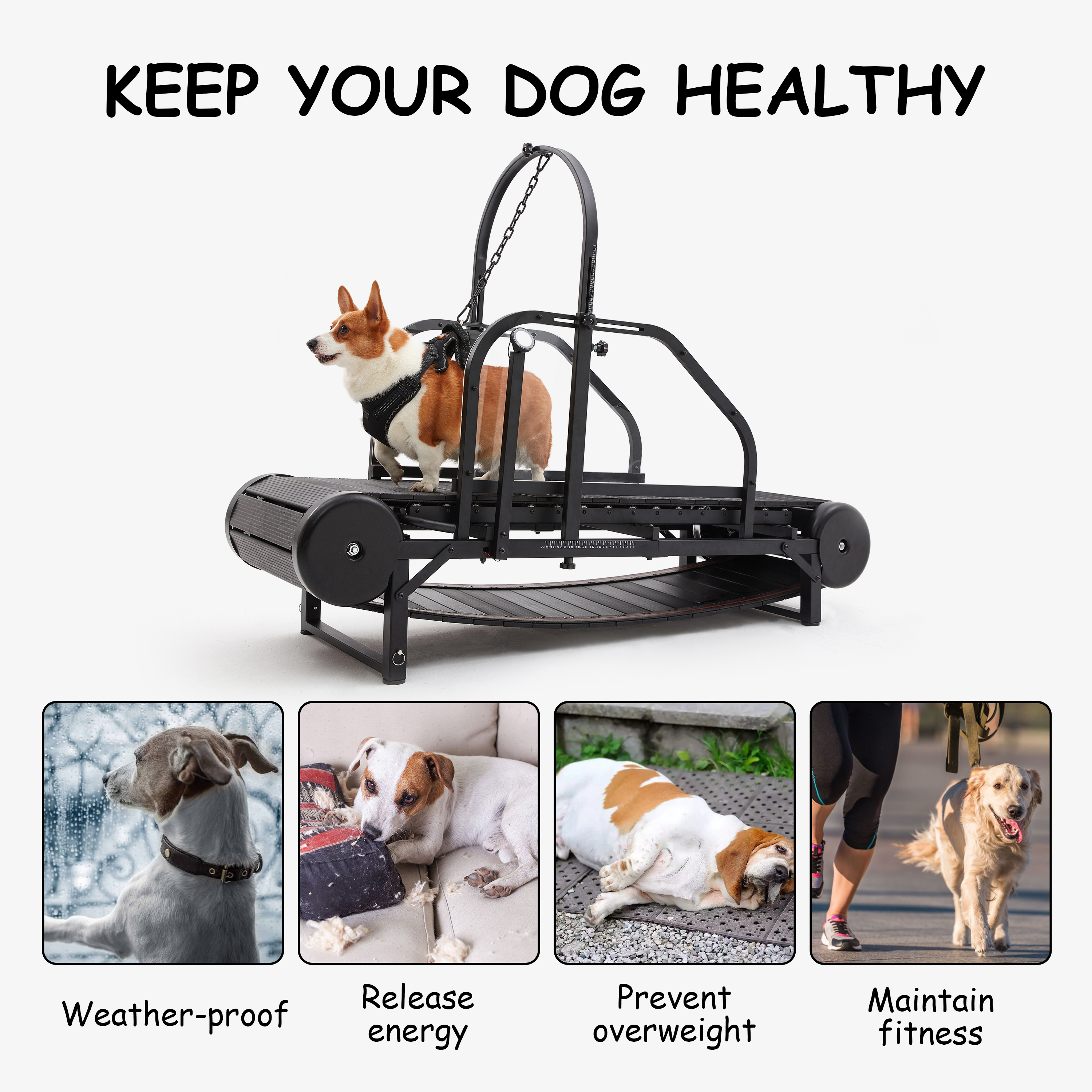 Pet Exercise Treadmill for Dogs No Power Required Safe and Quiet Workout Solution for All Breeds