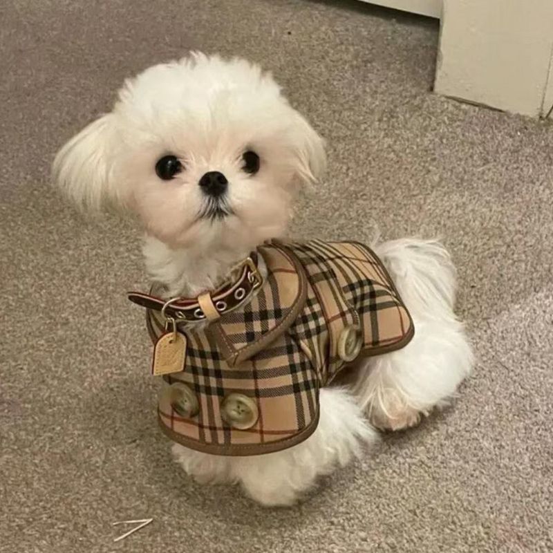 Designer Dogs Clothes Luxury Plaid Pets Coat Classic Collar Dog Jacket for Small Dogs Handmade Puppy Raincoat Jacket, Perfect for Spring, Yorkie British Style S