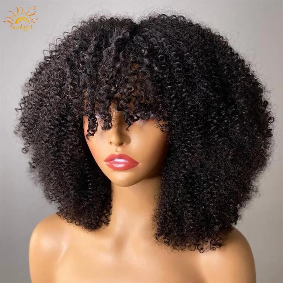 350 Density Afro Kinky Curly Glueless Wig 13x4 HD Lace Frontal Wig Human Hair13x4 Closure Wig Preplucked Pre Cut Ready to Go Synthetic Lace Front Wig