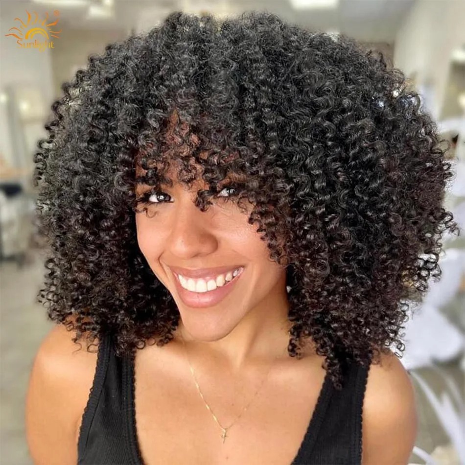 Afro Kinky Curly Wig Human Hair Short Wigs For Woman Human Hair Natural 4B 4C Brazilian Hair Wigs Full Synthetic Lace Front Wig