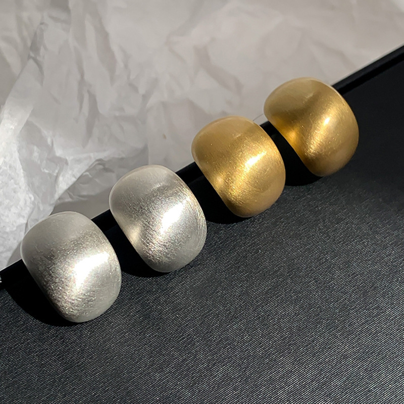 Sier Needle Minimalist Geometric Brushed Light Fashion Design Sense Elegant High-end Earrings for Women