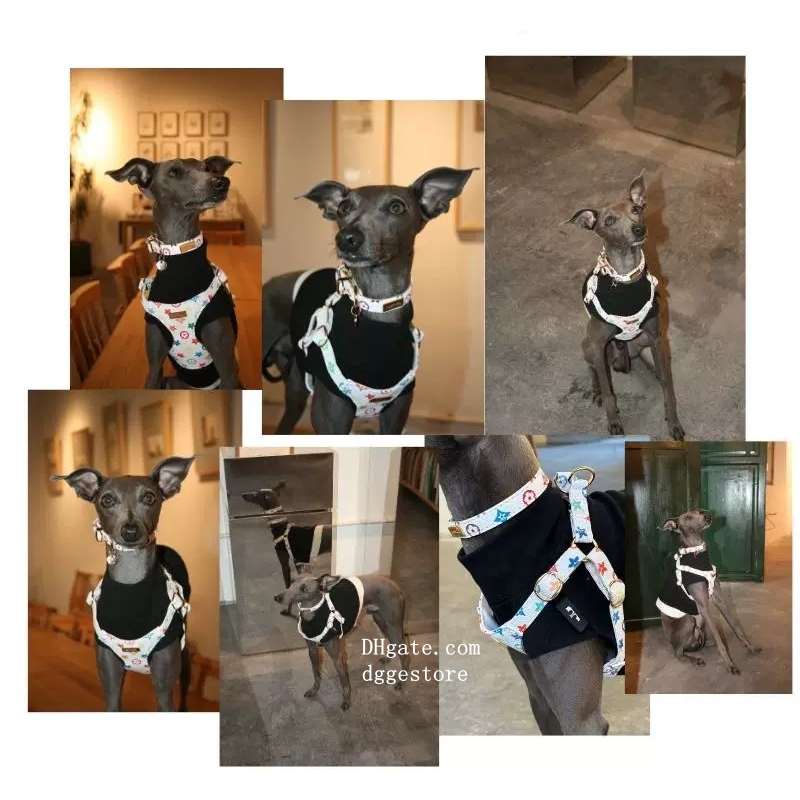 Step In Dog No Pull Imitation Design Print Adjustable Soft PU Leather Suede Lining Pet Vest Harness And Leash Set For Small Medium Dogs XS B141 42C96