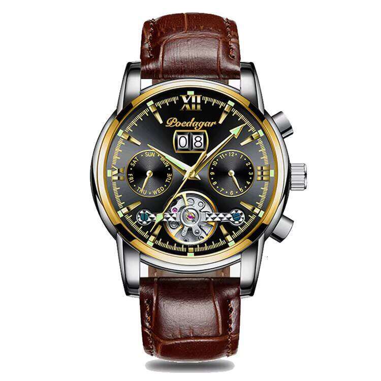 DHgargets POEDAGAR Men's Automatic Watch - Tourbillon, Day/Date, 50M Waterproof, Luminous, Stainless Steel Band, Business Mechanical Watch