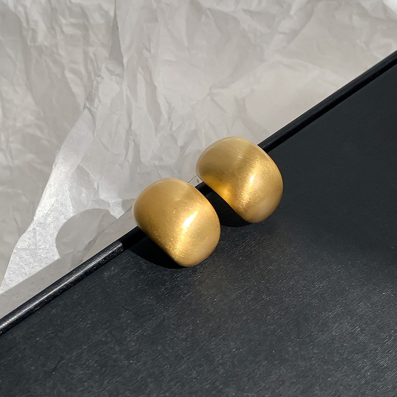 Sier Needle Minimalist Geometric Brushed Light Fashion Design Sense Elegant High-end Earrings for Women