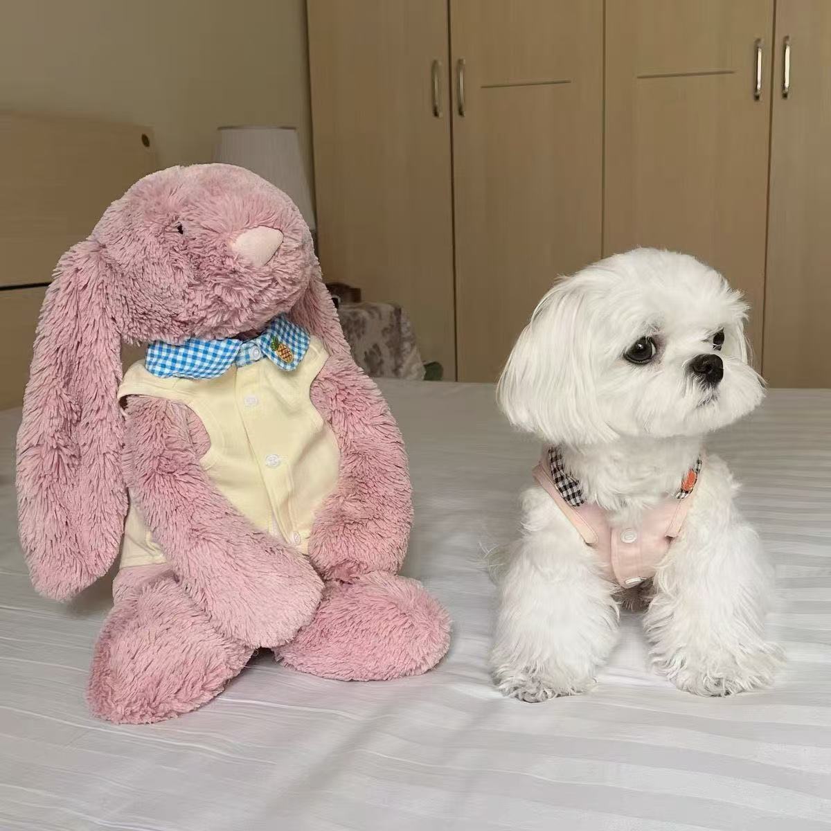 T786 Dog Clothes Pet Cat Cute Puppy Anti-hair Shedding Bichon Pomeranian Ragdoll Cat
