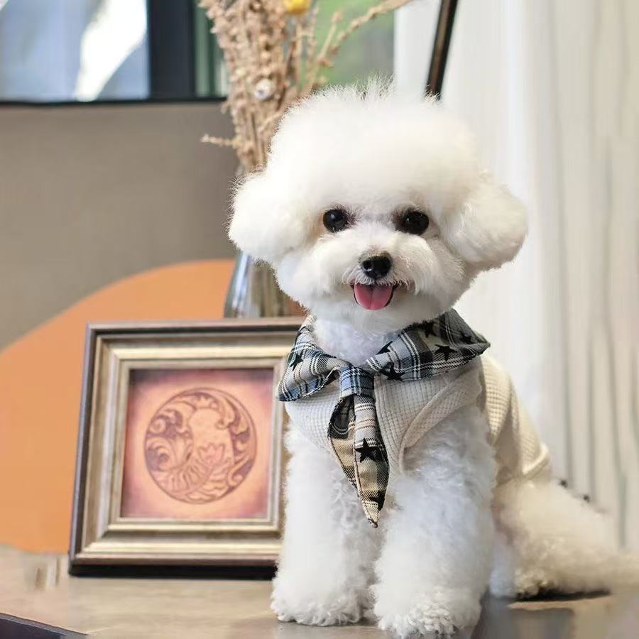 T784 Dog Cat Pet Vest Maltese Bichon Frise Schnauzer