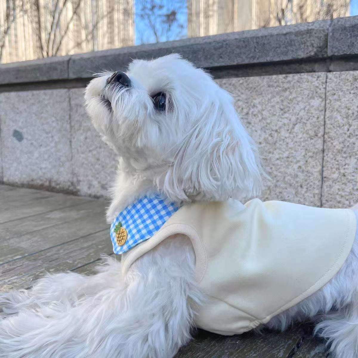 T786 Dog Clothes Pet Cat Cute Puppy Anti-hair Shedding Bichon Pomeranian Ragdoll Cat