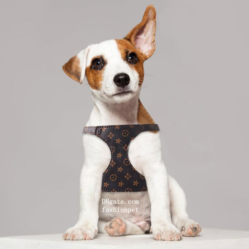 Step In Dog No Pull Imitation Design Print Adjustable Soft PU Leather Suede Lining Pet Vest Harness And Leash Set For Small Medium Dogs XS B141 42C96