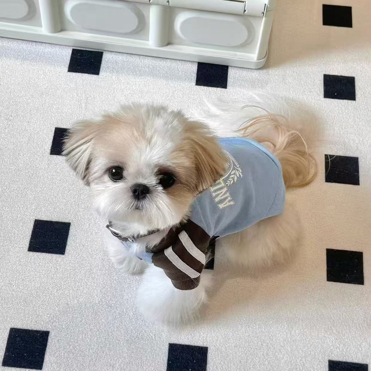 T781 Puppy Yorkshire Shirt Sun Protection Clothes Summer Summer Thin Small Dog
