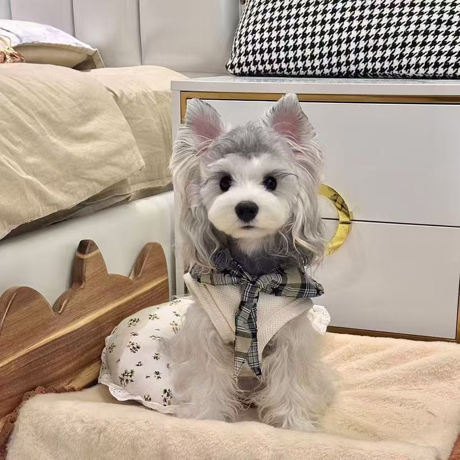 T784 Dog Cat Pet Vest Maltese Bichon Frise Schnauzer