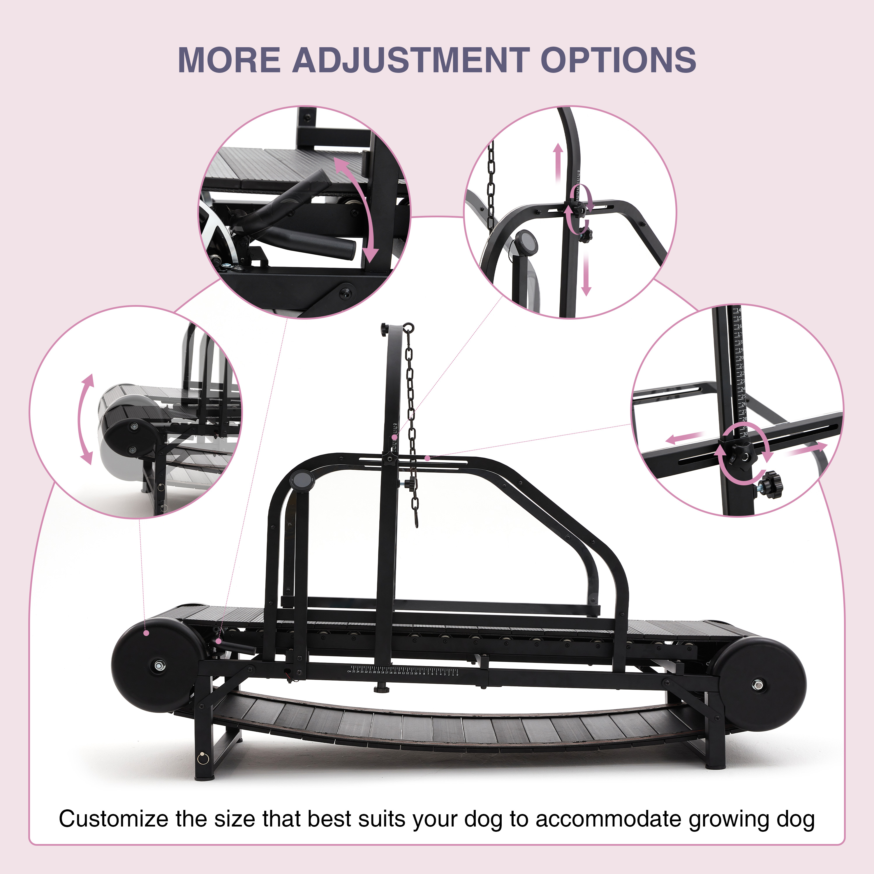 Pet Exercise Treadmill for Dogs No Power Required Safe and Quiet Workout Solution for All Breeds