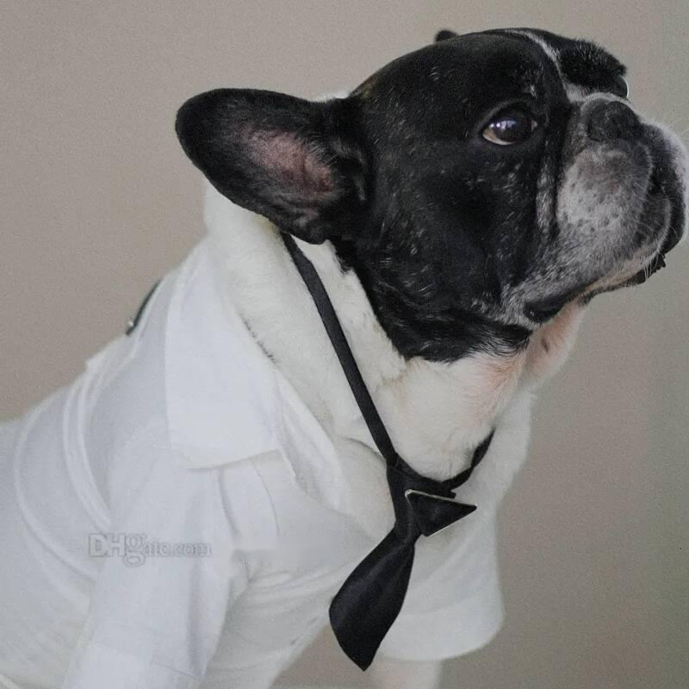 Designer Clothes Winter Coat Warm Dog Apparel Waterproof Windproof Pet Vest Cold Weather Puppy Jacket with Hats for Small Medium Large Dogs Bulldog Bl