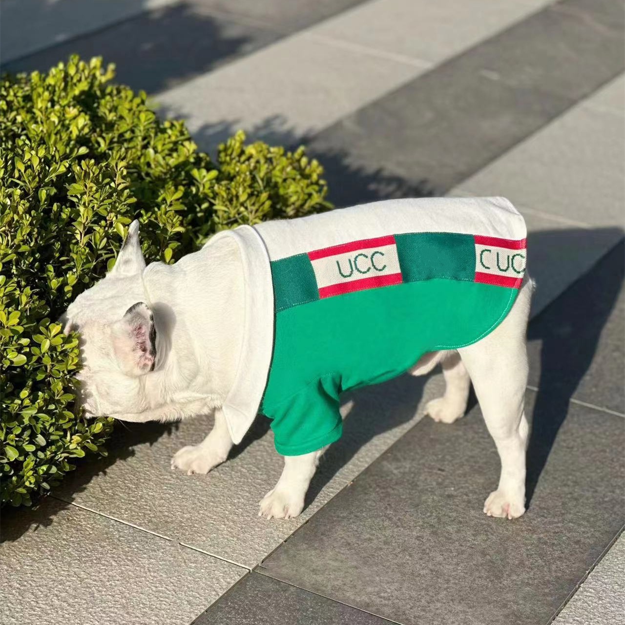 Dog Designer Luxury Polo T-shirt Pet Casual Fashion Two-legged Clothes Brand Short-sleeved Shirt Pet Clothes for Summer and Spring CH316