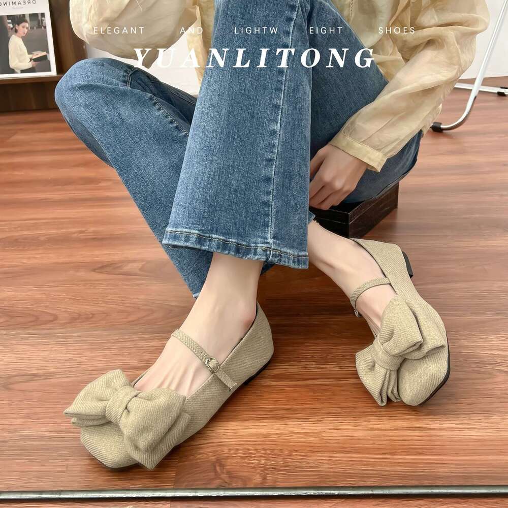 Designer Spring New Fashion Shallow Mouth Single 2025 French Style Outdoor One-Strap Women's Shoes Soft Sole Comfortable