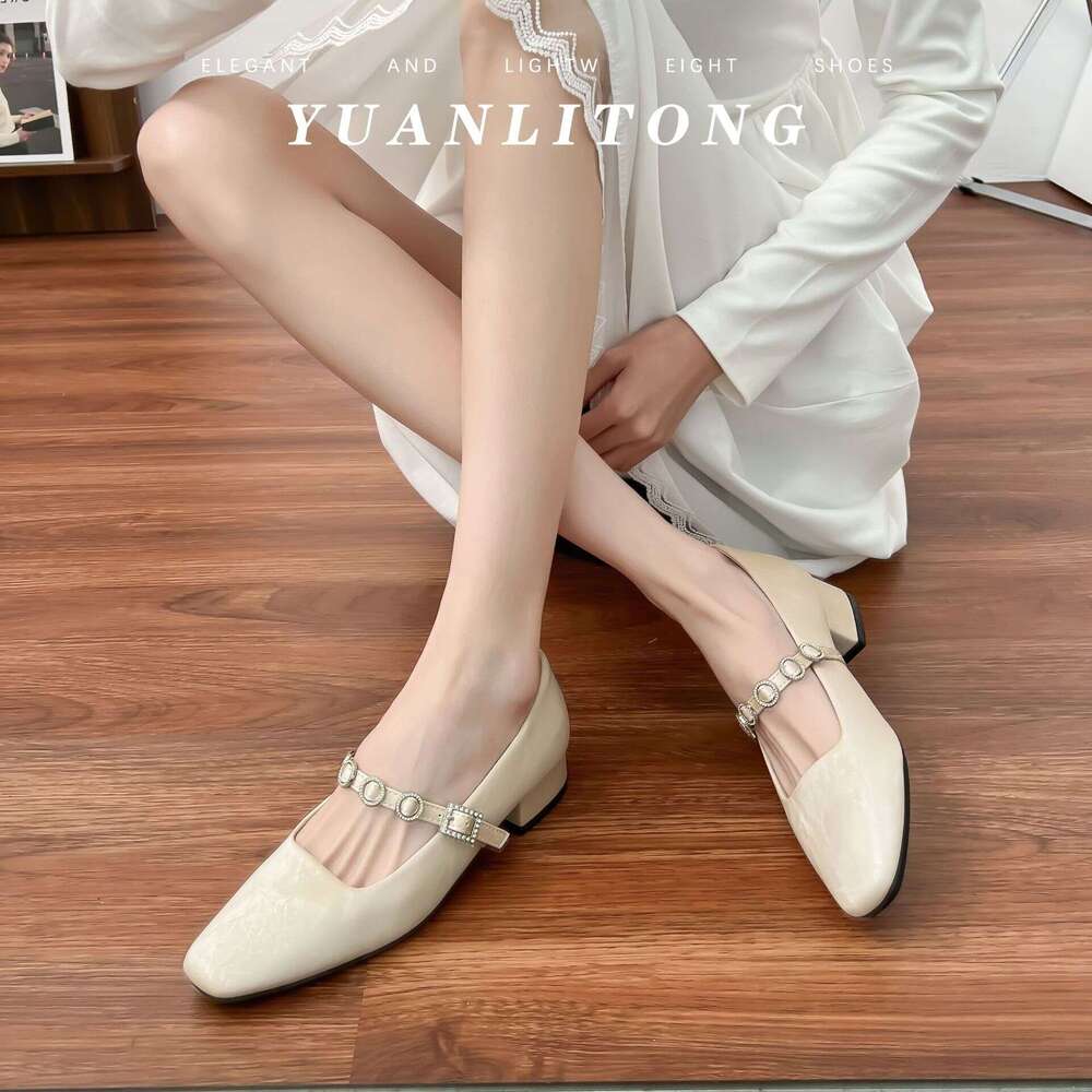 High Heels for Women, Outdoor Wear, High-End French Style, Strap Mary Jane Women's 2025 Spring Summer Chunky Heel Single Shoes, Versatile