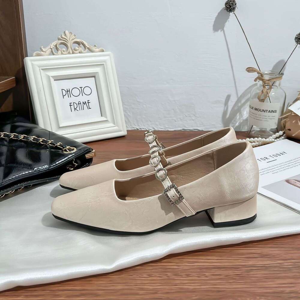 High Heels for Women, Outdoor Wear, High-End French Style, Strap Mary Jane Women's 2025 Spring Summer Chunky Heel Single Shoes, Versatile