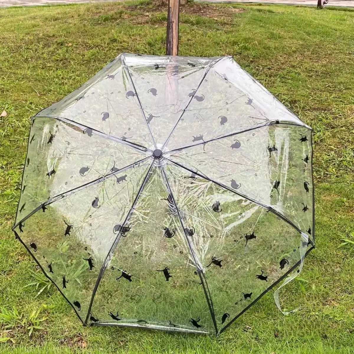 Transparent Automatic Three-fold Umbrella Transparent Automatic Three-fold Umbrella. R250724