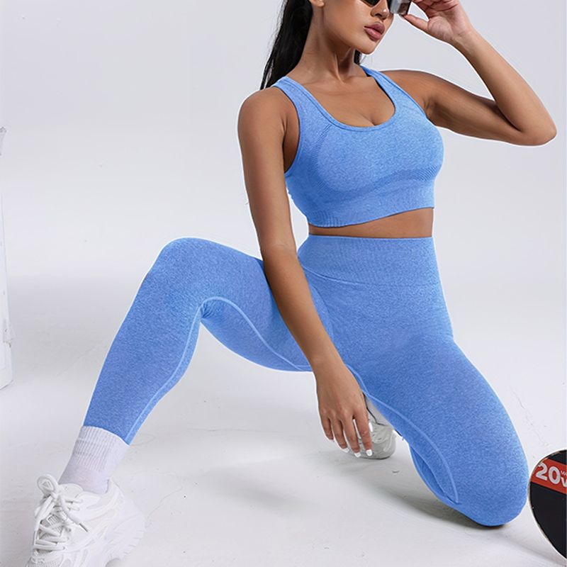Trendy Active Wear Combo for Women Breathable Shock Absorbing Sports Top w/ Figure-Hugging Tights