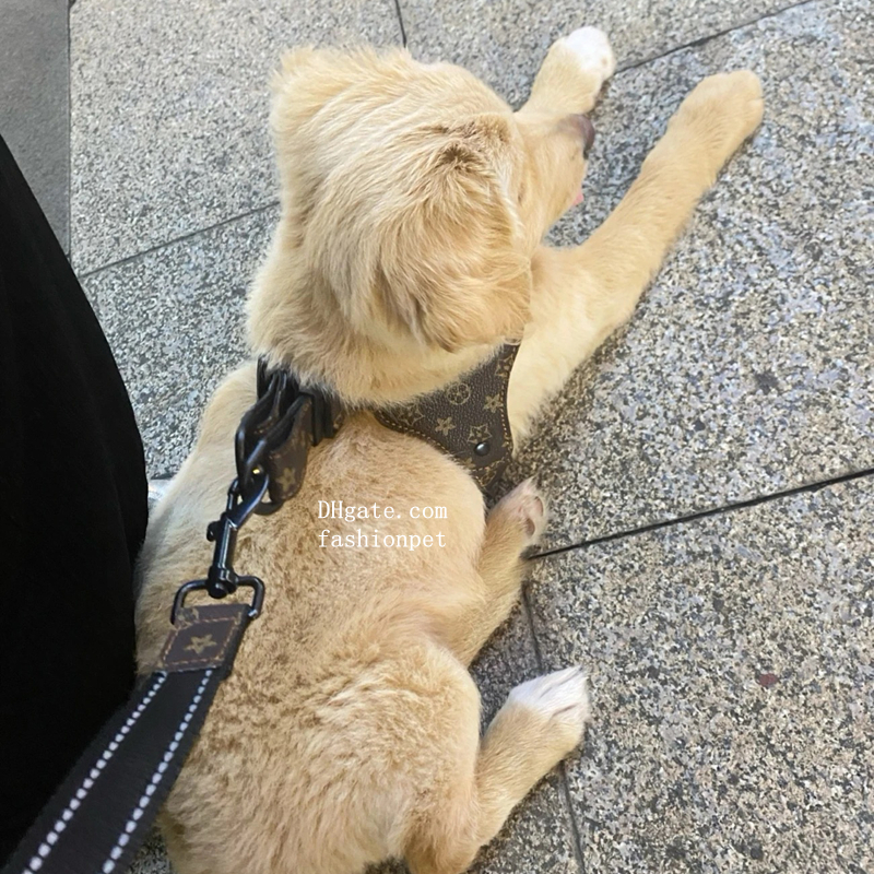 Classic Print Y-Shape Pet Dog Harness and Leash Fashionably Functional Gear for Trendsetting Dogs Everywhere Luxury PU Leather Dog Harness for Small M